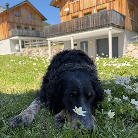 Hideaway Loser - 1 By Aa Homes * Altaussee